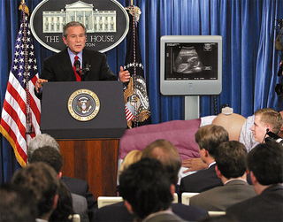 Illustration for article titled Bush Nominates First-Trimester Fetus To Supreme Court